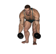 Hammer Curl - Bent Over